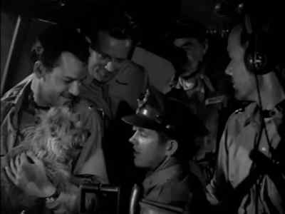 WHAT IS THIS,
A FLYING DOGHOUSE? - Air Force