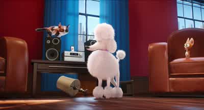 What is this crazy joint? - The Secret Life of Pets