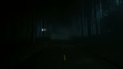 What is this? - Dark Shadows