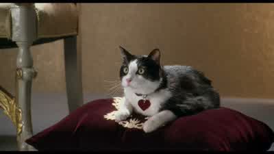 What is your dilemma, young man? - The Princess Diaries 2: Royal Engagement