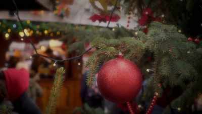 ♪ What is it about Christmas - The Dog Days of Christmas