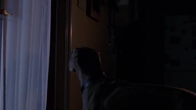 What is it, Bo? - The X-Files