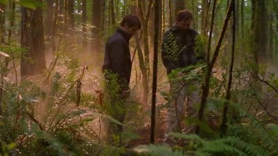 - What is it?
- Burdock root! - Grimm