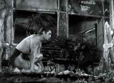 What is it, Cheeta? - Tarzan and the Leopard Woman