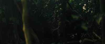 What is it, chief? - The Lost City of Z