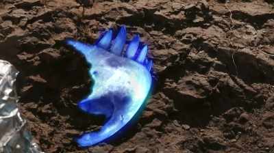 WHAT IT IS,
IS THE FRONT JAW RIGHT HERE. - Dino Hunters