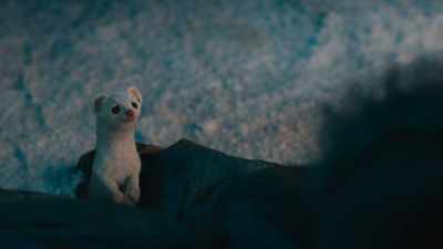 What if it isn't?
What if it needs protecting? - His Dark Materials