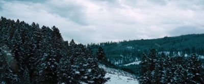 What if it keeps snowing - Walking Out