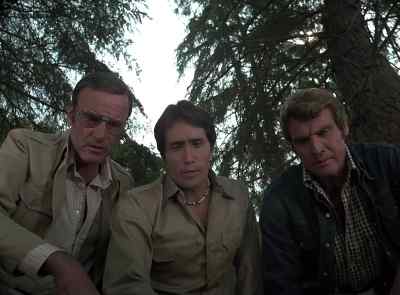 What is it?
Mountain lion? - The Six Million Dollar Man