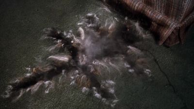 What is it - National Lampoon's Christmas Vacation