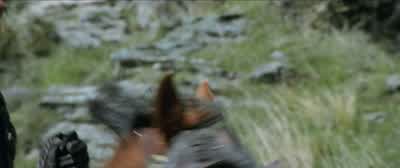 What is it? - The Lord of the Rings: The Two Towers
