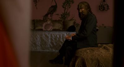What is it - Fur: An Imaginary Portrait of Diane Arbus
