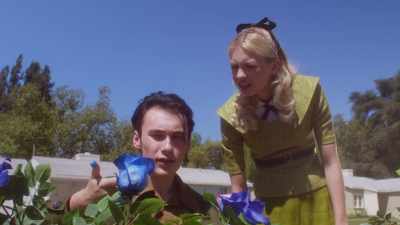 What is it? - The Blue Rose