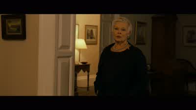 What was it you saidTake the bloody shotI made a judgment callYou should have trusted me to finish the jobIt was the possibility of losing youor the certainty of losing all those other agentsI made the only decision I could and you know itI think you lost - Skyfall