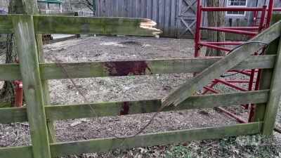 What was it trying - Mysteries Decoded