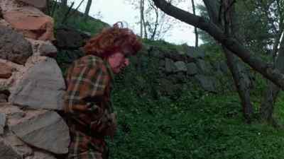What is it?
What the hell is wrong? - Kingdom of the Spiders
