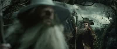 What if it's a trapTurn around and do not come backIt's undoubtedly a trap - The Hobbit: The Desolation of Smaug