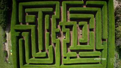 What I've got for you today
Inside that maze - The School That Tried to End Racism