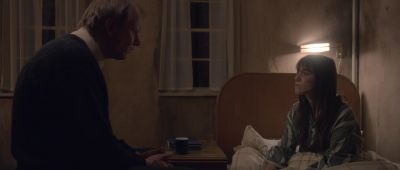 What just happened? - Nymphomaniac: Vol  II