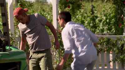 WHAT JUST HAPPENED? - Royal Pains