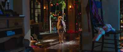 What just happened? - Marmaduke