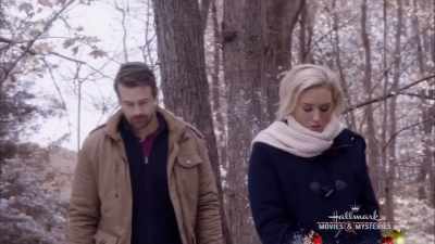 What kind of finance? - Romance at Reindeer Lodge