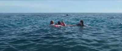 What kind of shark is that - Something in the Water