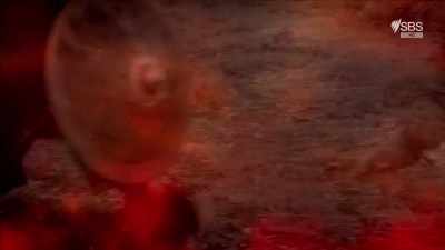 What we know of his early life - Curse of the Ancients with Alice Roberts