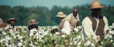 What you looking at, boy? - 12 Years a Slave