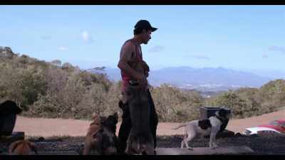 What made me change
is that I liked one of them. - Dogs