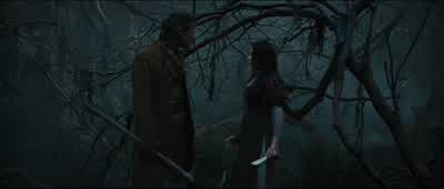 What makes you so damn valuableYou should know you're the one hunting me - Snow White and the Huntsman