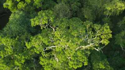 What we need now are visionary,
long-term initiatives - Wild Isles