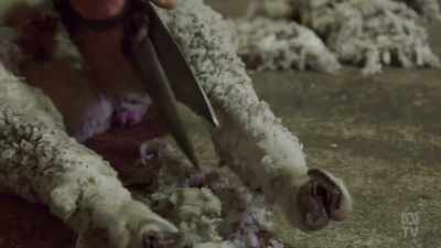 What was needed
was a mechanised cutting system - Aussie Inventions That Changed The World
