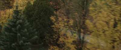 What, no.
How could you even think that? - Three Pines