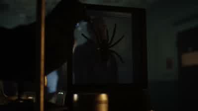 What now? - Gotham