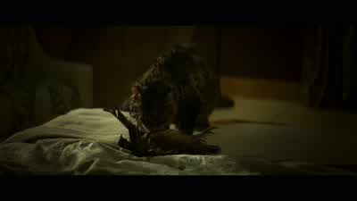 What? Oh, Jesus! Louis, it's still alive. - Pet Sematary