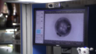 What on earth is that? - NCIS