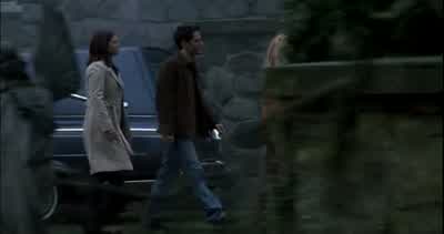 What Pigeons - Final Destination 2