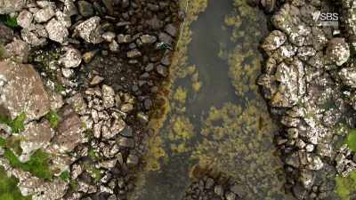 What was revealed
exceeded everyone's expectations - - Scotland from the Sky