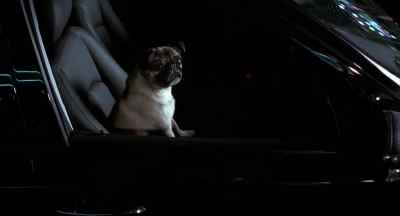 What? - Men in Black II