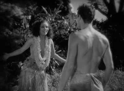 What? - Bird of Paradise