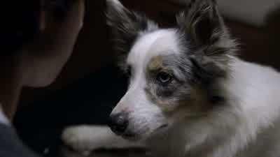 What? I didn't see anything. - Teen Wolf