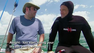 WHAT? - Dirty Jobs