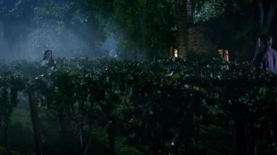 What? - True Blood