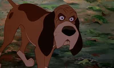 What? Tod, be careful. - The Fox and the Hound