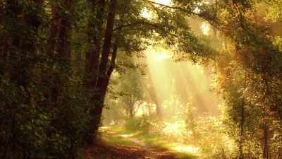 What they saw in miracles - Superhuman: The Invisible Made Visible