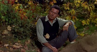 What seems to be the trouble - The Trouble with Harry