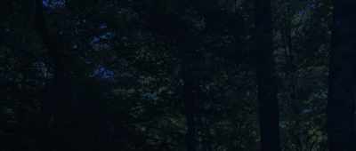 What we share might be laughteror tears, joy or sorrow. - The Mothman Legacy
