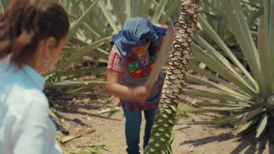 - What she's doing is she's
taking out all the leaves - Eva Longoria: Searching for Mexico
