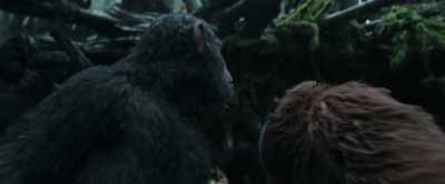 What should we do with the humans? - War for the Planet of the Apes